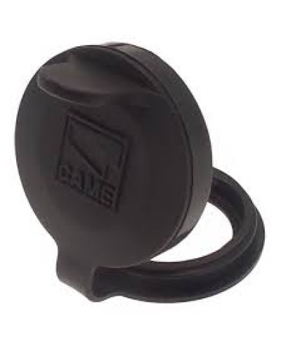 Защита целиндра замка A4366 Came 119RIA051 в Таганроге Запчасти для шлагбаумов и автоматики Pintop.ru