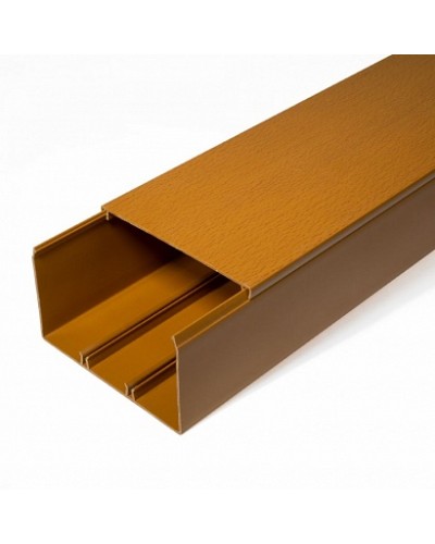 Кабель-канал бук 2-й замок 100х60 (16м/уп) Промрукав (PR.025447) в Таганроге Огнестойкие кабельные линии Pintop.ru