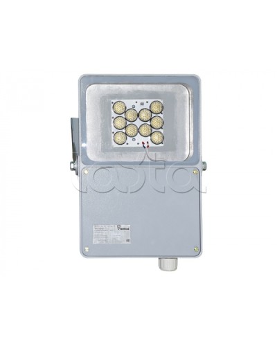 Прожектор светодиодный Forteza ФОСФОР-40/20-А (металл) в Таганроге Аксессуары для средств охраны периметра Pintop.ru