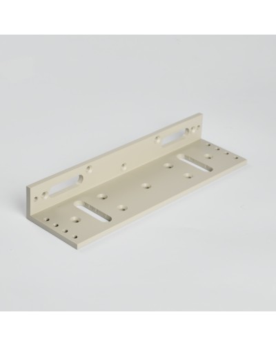 Монтажный аксеcсуар R-Lock RL-BR500-LG в Таганроге Дополнительное оборудование для СКУД Pintop.ru