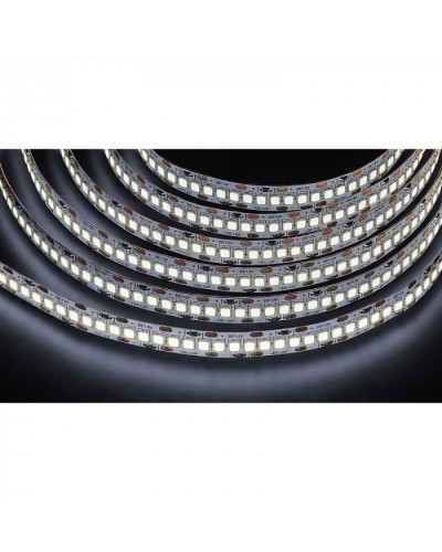 Лента светодиодная Navigator 14 459 NLS-2835CW240-24-IP20-12V в Таганроге Источники света(Лампы) Pintop.ru