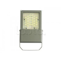 Прожектор светодиодный Forteza ФОСФОР-40/60