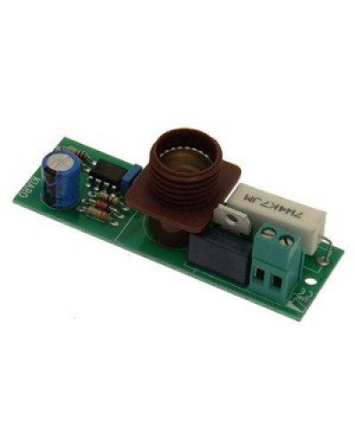 Плата лампы KIARO 24 Came 119RIR030 в Таганроге Запчасти для шлагбаумов и автоматики Pintop.ru