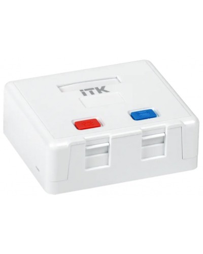 Корпус настенной розетки для 2 мод. Keystone Jack ITK (CS2-022) в Таганроге Коннекторы Pintop.ru