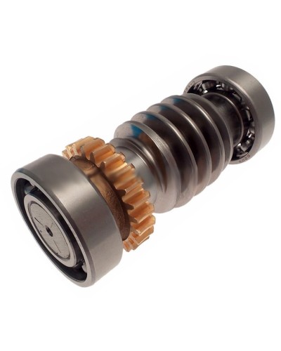 Червяк FROG Came 119RIA016 в Таганроге Запчасти для шлагбаумов и автоматики Pintop.ru