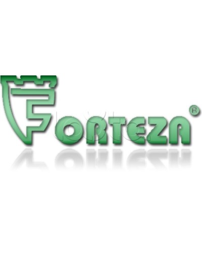 Плата сменная Forteza Плата БГр-4 в Таганроге Устройства защиты операционных процессоров (ОПС) Pintop.ru