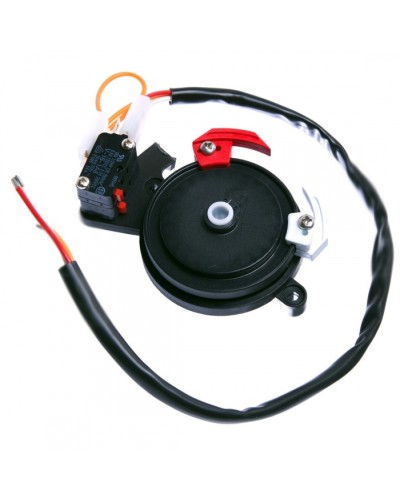 Концевые микровыключатели в сборе BX-243 Came 119RIBX041 в Таганроге Запчасти для шлагбаумов и автоматики Pintop.ru