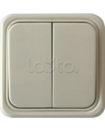 Выключатель двухклавишный открытой установки Экопласт, схема 5, (бежевый) в Таганроге Розетки компьютерные и телефонные Pintop.ru