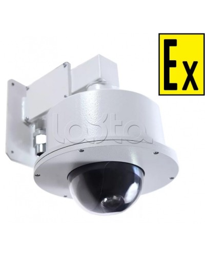 Видеокамера взрывозащищенная Компания СМД Орион МК PTZ- С-12-36В в Таганроге Взрывозащищенные камеры Pintop.ru