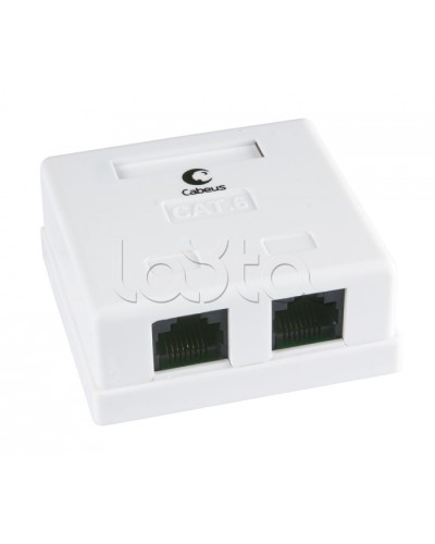 Розетка компьютерная RJ-45(8P8C), категория 6, двойная, внешняя, Krone type Cabeus WS-8P8C-Cat.6-2 в Таганроге Розетки компьютерные и телефонные Pintop.ru