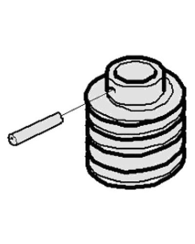 Червяк G3000 Came 119RIG413 в Таганроге Запчасти для шлагбаумов и автоматики Pintop.ru