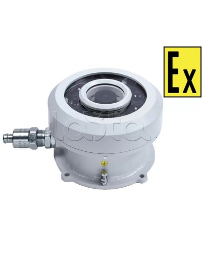 Видеокамера взрывозащищенная Компания СМД Орион МК ВК FishEye-Н в Таганроге Взрывозащищенные камеры Pintop.ru