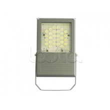 Прожектор светодиодный Forteza ФОСФОР-75/10