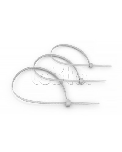 Стяжка нейлоновая неоткрывающаяся, безгалогенная (halogen free) 100x2.5мм, (100 шт) Cabeus CT-100 в Таганроге Аксессуары для кабель-канала Pintop.ru