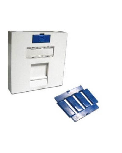 Вставка 45x45 на 1 кейстоун, угловая, со шторкой, маркировкой и иконками, белая LANMASTER LAN-SIP-23A-WH в Таганроге Аксессуары для кабель-канала Pintop.ru