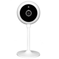 IP-камера видеонаблюдения Wi-Fi компактня Falcon Eye Wi-Fi видеокамера Spaik 2