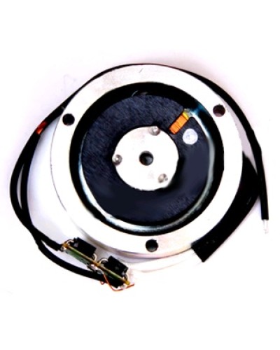 Электромагнит BY1500T Came 119RIY034 в Таганроге Запчасти для шлагбаумов и автоматики Pintop.ru