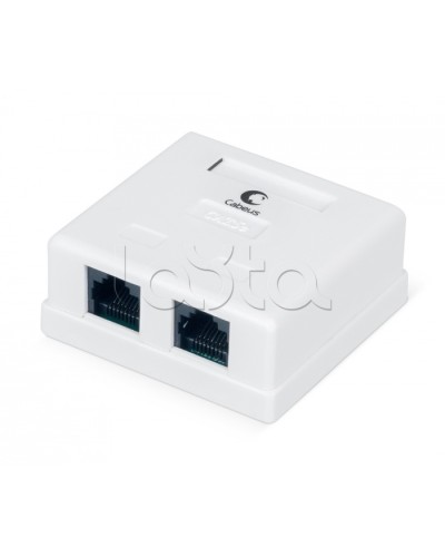 Розетка компьютерная RJ-45, категория 5e, двойная, внешняя, Dual IDC Cabeus WS-8P8C-Cat.5e-2 в Таганроге Розетки компьютерные и телефонные Pintop.ru