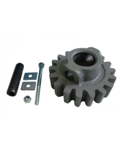 Шестерня ведущая ВК Came 119RIBK002 в Таганроге Запчасти для шлагбаумов и автоматики Pintop.ru