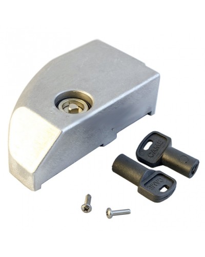 Дверца замка разблокировки BK Came 119RIBK012 в Таганроге Запчасти для шлагбаумов и автоматики Pintop.ru