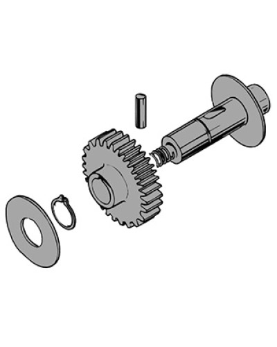 Вал в сборе C100 Came 119RIC011 в Таганроге Запчасти для шлагбаумов и автоматики Pintop.ru