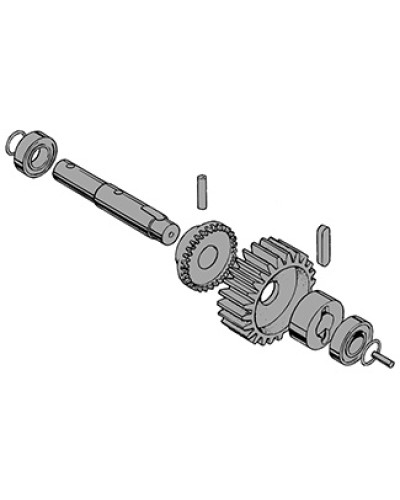 Вал в сборе C-BY Came 119RIC031 в Таганроге Запчасти для шлагбаумов и автоматики Pintop.ru