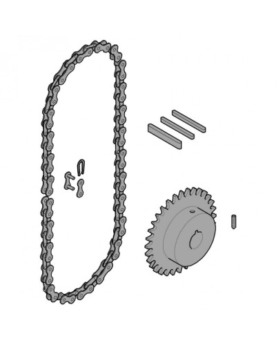 Передающая система (цепь и звездочки) C005 Came 119RICX016 в Таганроге Запчасти для шлагбаумов и автоматики Pintop.ru