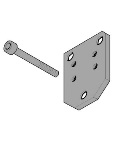 Пластина монтажная FLEX Came 119RID143 в Таганроге Запчасти для шлагбаумов и автоматики Pintop.ru