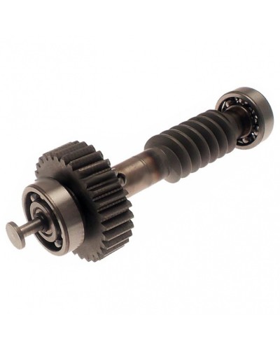 Червяк редуктора FAST в сборе Came 119RID228 в Таганроге Запчасти для шлагбаумов и автоматики Pintop.ru