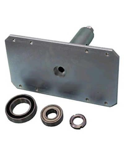 Электромагнит с механизмом разблокировки Came 119RIH022 в Таганроге Запчасти для шлагбаумов и автоматики Pintop.ru