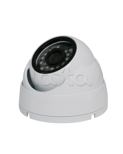 Камера видеонаблюдения купольная EverFocus ACE-IAB20XHD в Таганроге Аналоговые камеры Pintop.ru