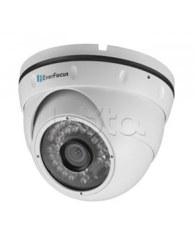 IP-камера видеонаблюдения купольная EverFocus ACE-IAV30 в Таганроге IP-камеры Pintop.ru