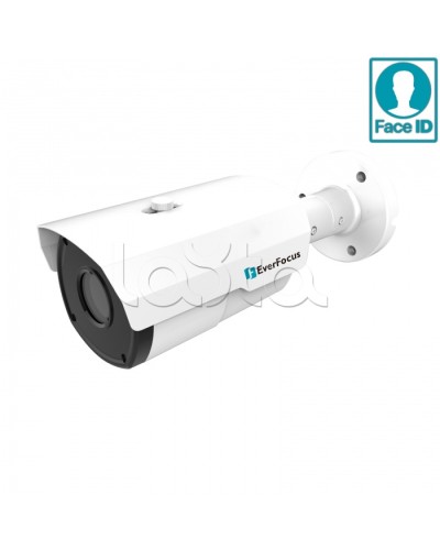 IP-камера видеонаблюдения в стандартном исполнении EverFocus EZN-2850 в Таганроге IP-камеры Pintop.ru