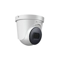 IP-камера видеонаблюдения купольная Falcon Eye FE-IPC-D2-30p