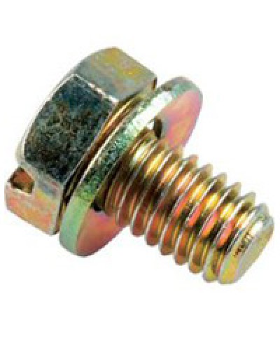 Винт с шайбой М6х10мм TH Legrand 036775 в Таганроге Крепеж Pintop.ru