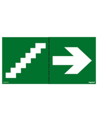 Пиктограмма 100х200 лестница стрелка Legrand 661672 в Таганроге Дополнительное оборудование для ОПС Pintop.ru