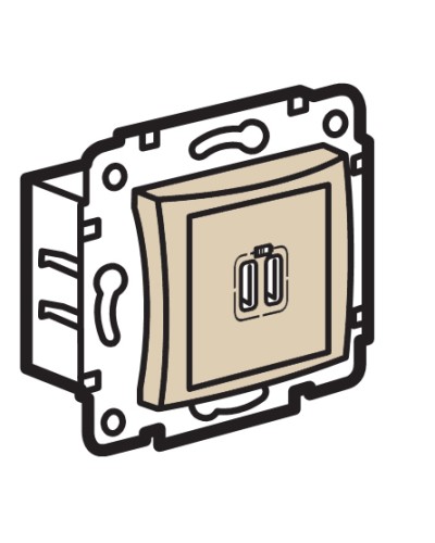 Устройство зарядное с коннекторами USB Legrand (774170) в Таганроге Аксессуары для кабель-канала Pintop.ru