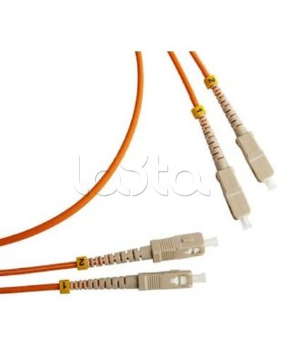 Патч-корд оптический TWT-2ST-2FC/SU-3.0 в Таганроге Патч-корды оптические Pintop.ru