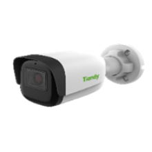 Уличная IP-камера Tiandy TC-C35WS Spec:I5/E/Y/C/H/4mm/V4.0