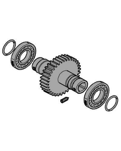 Вал выходной EMEGA Came 119RIE062 в Таганроге Запчасти для шлагбаумов и автоматики Pintop.ru