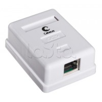 Розетка компьютерная RJ-45(8P8C), категория 5e, экранированная, одинарная, внешняя, Dual IDC(110&Krone type) Cabeus WS-8P8C-Cat.5e-SH-1