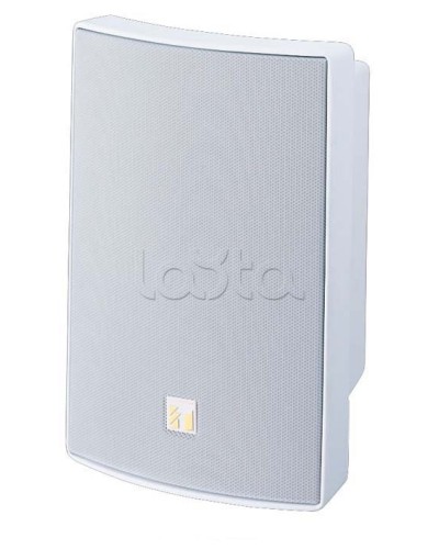 Громкоговоритель универсальный двухполосный TOA BS-1030W в Таганроге Системы оповещения и трансляции TOA Pintop.ru