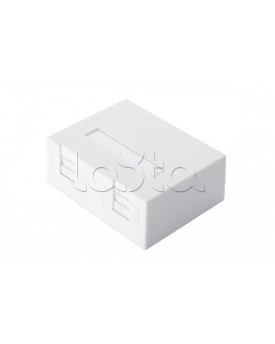 Настенная коробка 2-портовая со шторками, белый Eurolan (12B-04-02WT-2) в Таганроге Розетки компьютерные и телефонные Pintop.ru