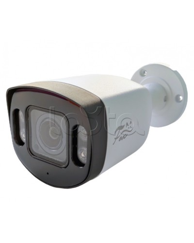 IP-камера видеонаблюдения в стандартном исполнении Fox FX-IPC-C40AP-IR H.265 AI в Таганроге IP-камеры Pintop.ru