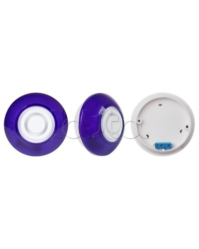 Оповещатель комбинированный SLT Марс 12-КП (строб, син) в Таганроге Оповещатели Pintop.ru