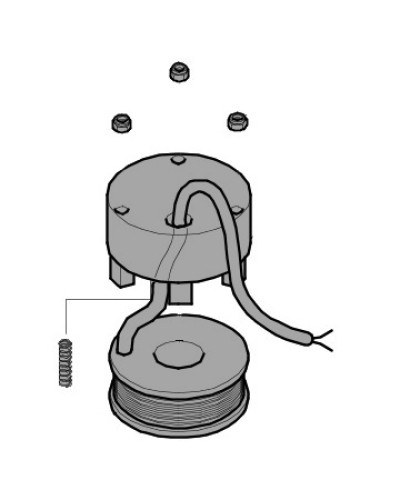 Электромагнит BX-P, BK-1200P Came 119RIBX035 в Таганроге Запчасти для шлагбаумов и автоматики Pintop.ru