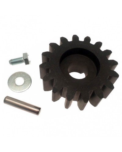 Шестерня ведущая BZ Came 119RIBZ005 в Таганроге Запчасти для шлагбаумов и автоматики Pintop.ru