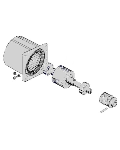 Электродвигатель С-100 Came 119RIC052 в Таганроге Запчасти для шлагбаумов и автоматики Pintop.ru