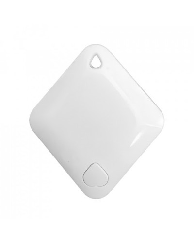 Брелок-идентификатор BLE ProxWay PW-Tag S1 W в Таганроге Оптовые идентификаторы Pintop.ru