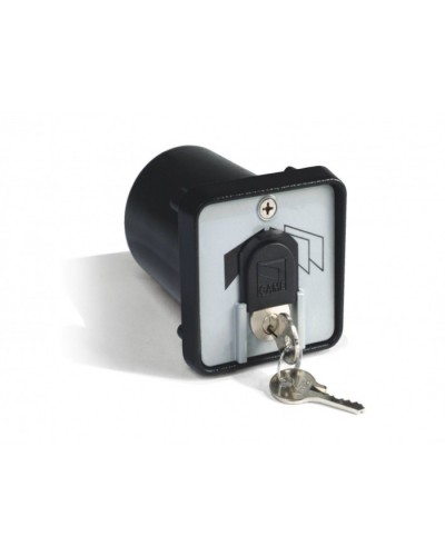 Ключ-выключатель с защитой цилиндра, встраиваемый Came 001SET-K в Таганроге Запчасти для шлагбаумов и автоматики Pintop.ru